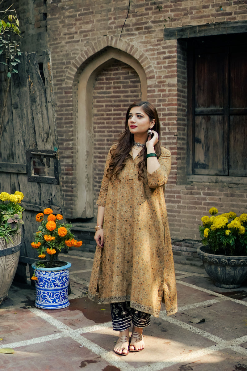 Riyal (brown)