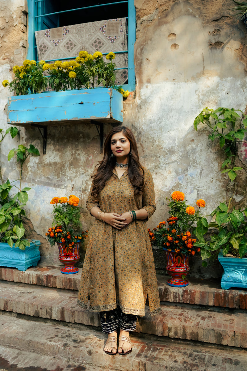 Riyal (brown)